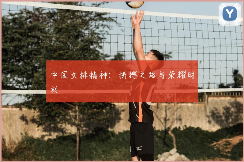 中国女排精神:拼搏之路与荣耀时刻